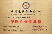 天津市滨海新区睿林格斗